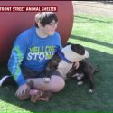 Three-Legged Dog Finds Forever Home With Boy Who Lost Leg to Cancer